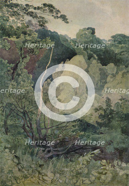 'Trees near the Greta River', c19th century. Artist: John Sell Cotman.