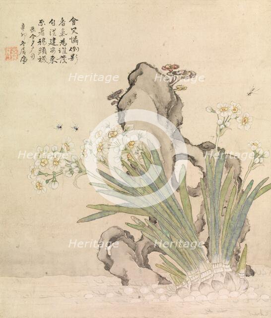 Narcissus, Rock, Bees and Linghzhi, 1891. Creator: Ju Lian.