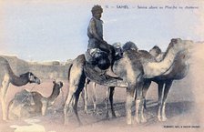 Serere, the Sahel, Senegal, 20th century. Artist: Albaret