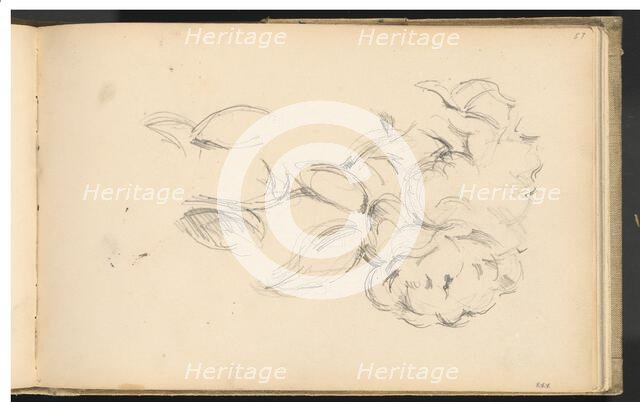 Peonies, 1890/1893. Creator: Paul Cezanne.