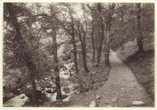 Dolgelley, View in Torrent Walk, 1860/94. Creator: Francis Bedford.