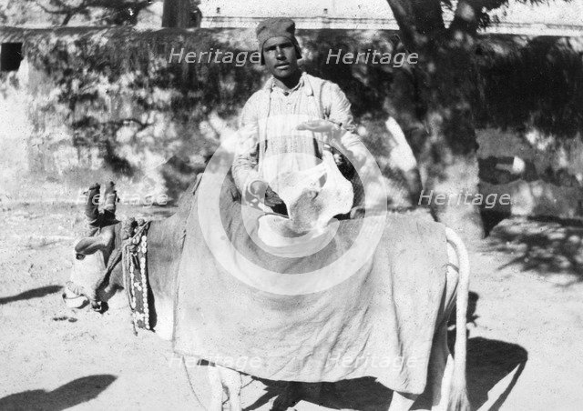 Man with a deformed cow, India, 1916-1917. Artist: Unknown