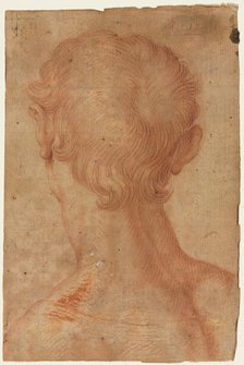 Man's Head from the Back, 16th century?. Creator: Unknown.
