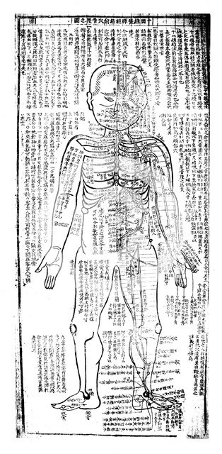 Acupuncture chart for the front of the body, Japanese, 19th century. Artist: Unknown