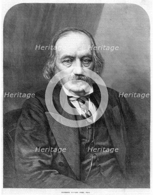 Richard Owen, English anatomist and paleontologist, 1872. Artist: Unknown
