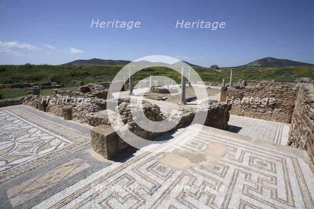 The House of Neptune, Thuburbo Majus, Tunisia. Artist: Samuel Magal