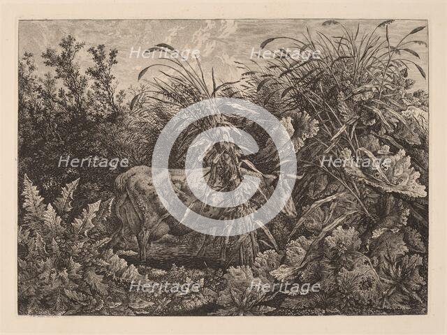 The Cow in the Swamp, 1800/1803. Creator: Carl Wilhelm Kolbe the elder.