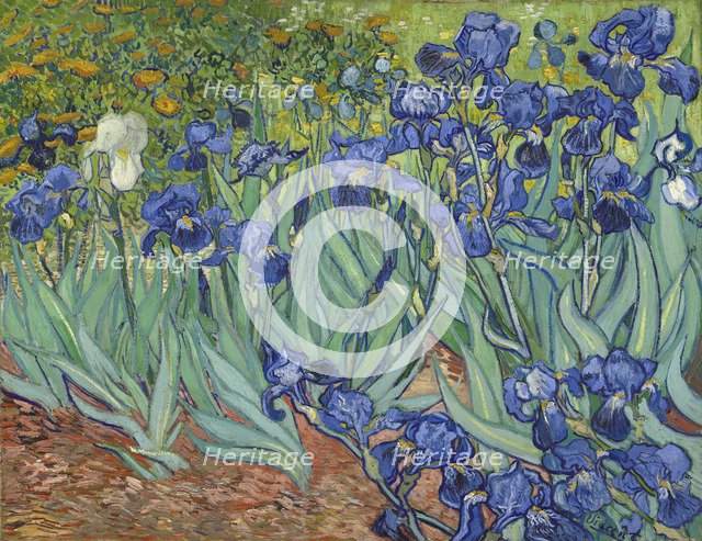 Irises, 1889. Artist: Gogh, Vincent, van (1853-1890)