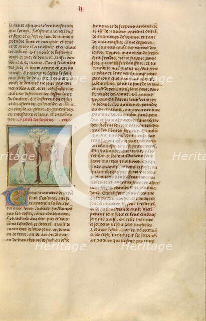 Adam and Eve with the Serpent; Miroir Historial, about 1475. Creator: Unknown.