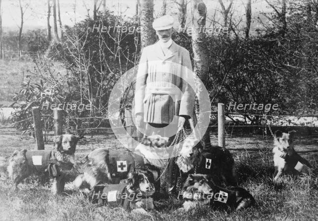Maj. Richardson & British Red Cross dogs, between 1914 and c1915. Creator: Bain News Service.
