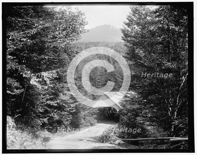 On the road to the flume, Franconia Notch, White Mountains, c1900. Creator: Unknown.