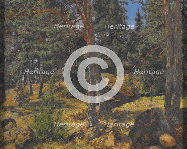 A Fir Bank, date unknown. Creator: Gottfrid Kallstenius.