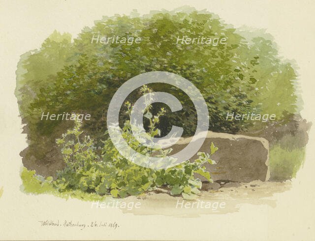 A plant next to a stone block, with bushes behind it, 1869. Creator: Carl Theodor Reiffenstein.