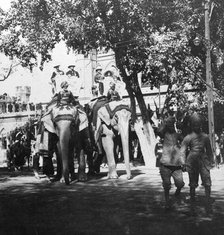 Viceregal staff and his daughter taking part in the elephant procession, Delhi, India, 1900s.Artist: H Hands & Son