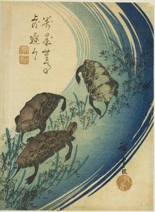 Turtles swimming in a stream, c. 1840. Creator: Ando Hiroshige.