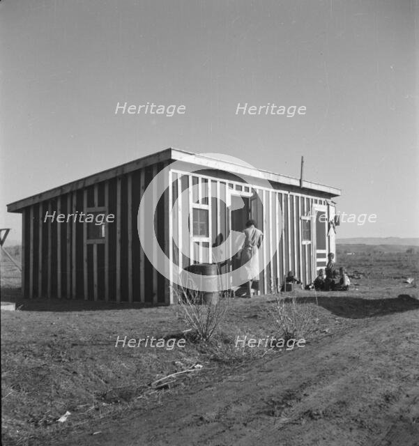 Temporary housing for the settlers, Bosque Farms project, New Mexico, 1935. Creator: Dorothea Lange.