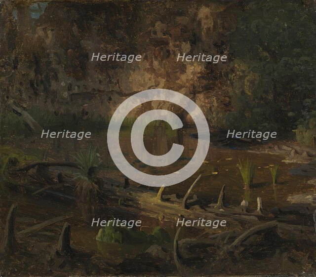 Study of a fallen Tree, probably 1851. Creator: Herman August Cappelen.