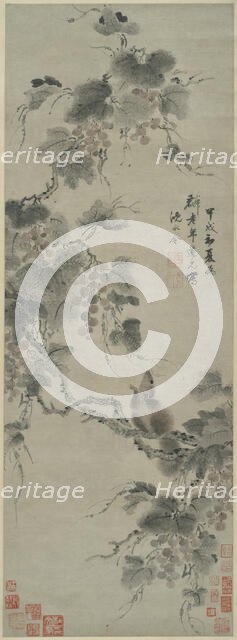 Squirrel and Grapes, 1694. Creator: Shen Yongling.