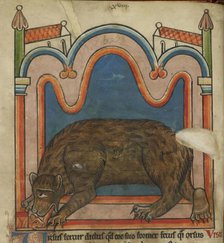 Bear licking a cub into shape, c1230s. Creator: Unknown.