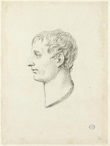 Profile of Napoleon, c. 1810. Creator: Jacques-Louis David.