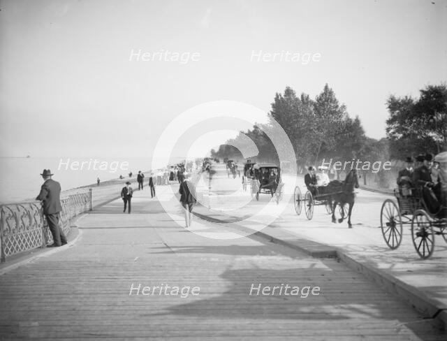 Lake Shore Drive, Lincoln Park, Chicago, Ill., c1905. Creator: Unknown.