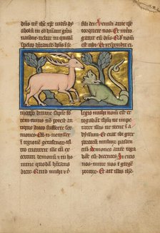 A Stag before a Dragon-like Snake; De Natura Avium; De Pastoribus et Ovibus, 1277 or after. Creator: Unknown.