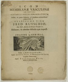 Icon membrane vasculosae, 1738. Creator: Jan L'Admiral.