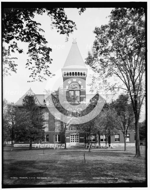 Museum, U. of M., Ann Arbor, Michigan, between 1890 and 1901. Creator: Unknown.