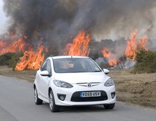 2010 Mazda 2 Sport, controlled burning in New Forest Artist: Unknown.