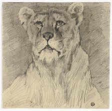 Front View of Seated Lioness, n.d. Creator: Frederik William Zurcher.