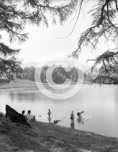 Tarn Hows, Lake District, c1955. Creator: Arthur Charles Kirby Ware.