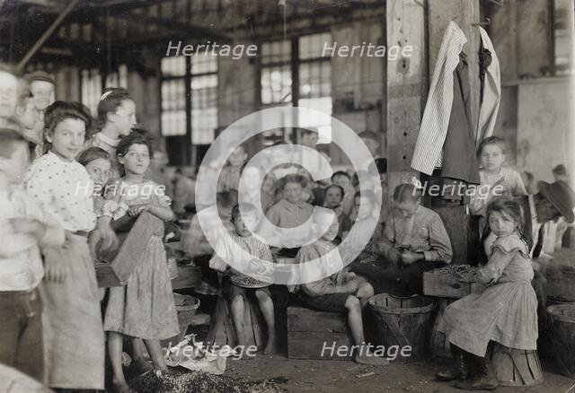 Baltimore, Maryland, 1909. Creator: Lewis Wickes Hine.