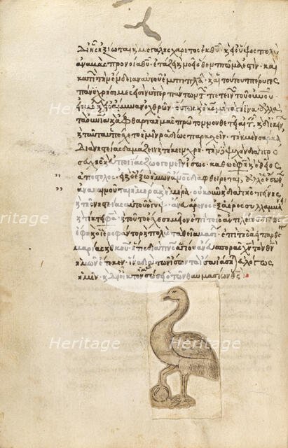 A Crane, 1510-1520. Creator: Unknown.