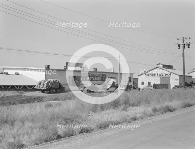 Potato sheds during season, across the road from the..., Tulelake, Siskiyou County, California, 1939 Creator: Dorothea Lange.