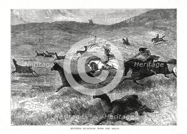 'Hunting Guanacos with the Bolas', South America, 1877. Artist: Unknown
