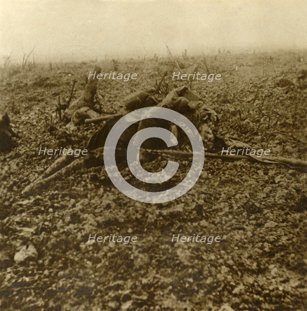 Dead soldier on Hill 304, after the Battle of Verdun, northern France, 1916. Artist: Unknown.