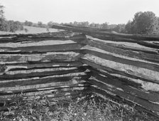 Split-log fence, North central Arkansas, along U.S. 62, 1938. Creator: Dorothea Lange.