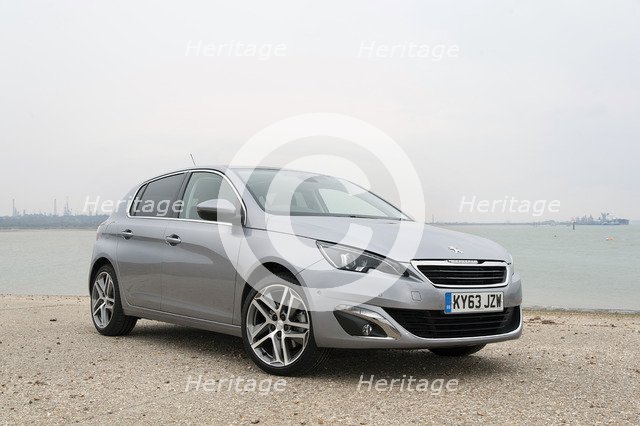 2014 Peugeot 308 THP 156 Feline Artist: Unknown.