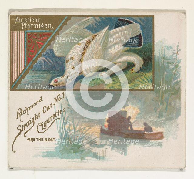 American Ptarmigan, from the Game Birds series (N40) for Allen & Ginter Cigarettes, 1888-90. Creator: Allen & Ginter.