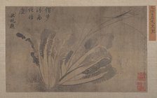 Cabbage and Insects. Creator: Xu Daoguang.