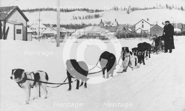 Dog sled team, between c1900 and c1930. Creator: Unknown.
