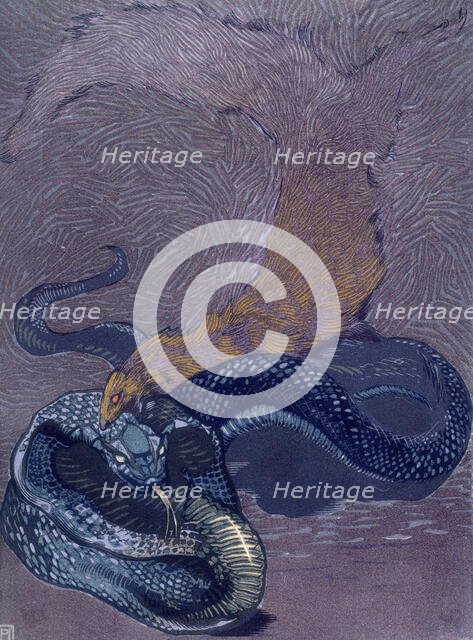 Rikki Tikki Tavi biting a snake; scene from "The Jungle Book", 1919. Creator: Paul Jouve.