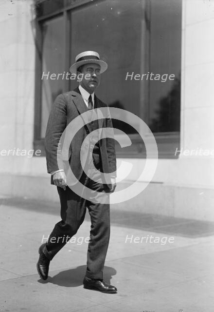 Arch. Wilkinson Shaw of Chicago, 1917. Creator: Harris & Ewing.