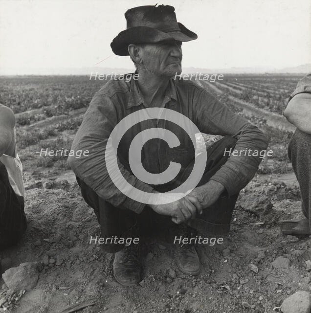 Migrant agricultural worker, Near Holtville, California, 1937. Creator: Dorothea Lange.