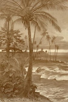 The beach at Waikiki, Hawaii, 1898.  Creator: Christian Wilhelm Allers.