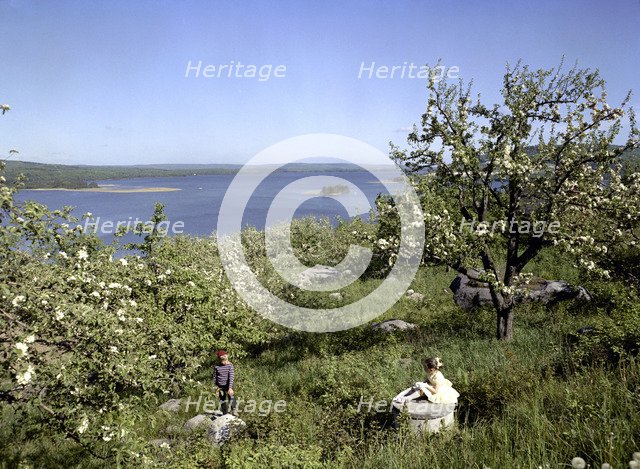 Children in the countryside during summer holidays, 1950s. Artist: Göran Algård