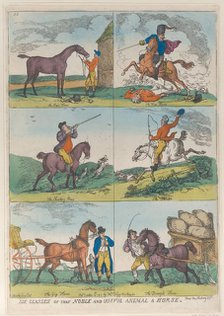 Six Classes of the Noble and Useful Animal a Horse, October 10, 1811., October 10, 1811. Creator: Thomas Rowlandson.