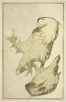 Two Waterfowl, from The Picture Book of Realistic Paintings of Hokusai (Hokusai..., Japan, c. 1814. Creator: Hokusai.