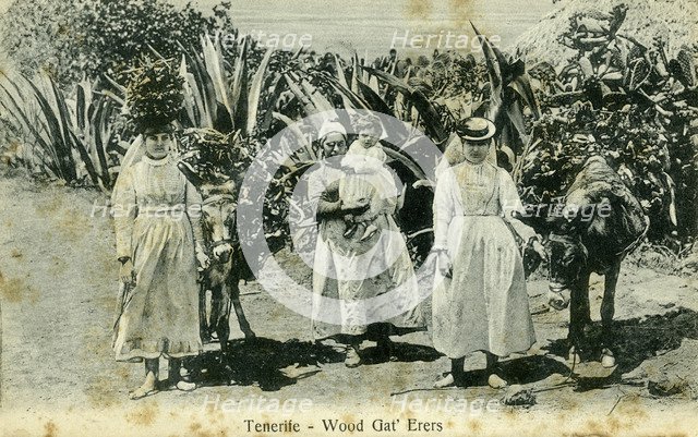 Wood gatherers, Tenerife, Canary Islands, early 20th century(?). Artist: Unknown