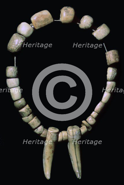 Neolithic necklace of bone and teeth. Artist: Unknown